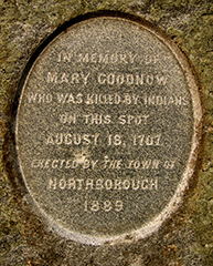 Goodnow2