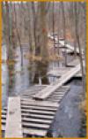 LITTLE CHAUNCEY & CEDAR HILL TRAILS AREA