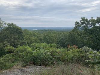 MT. PISGAH TRAILS AREA