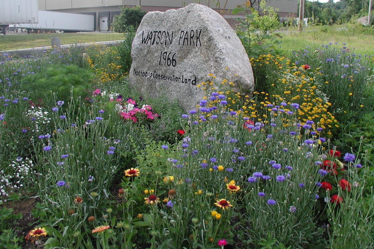 Watson Park buttefly garden