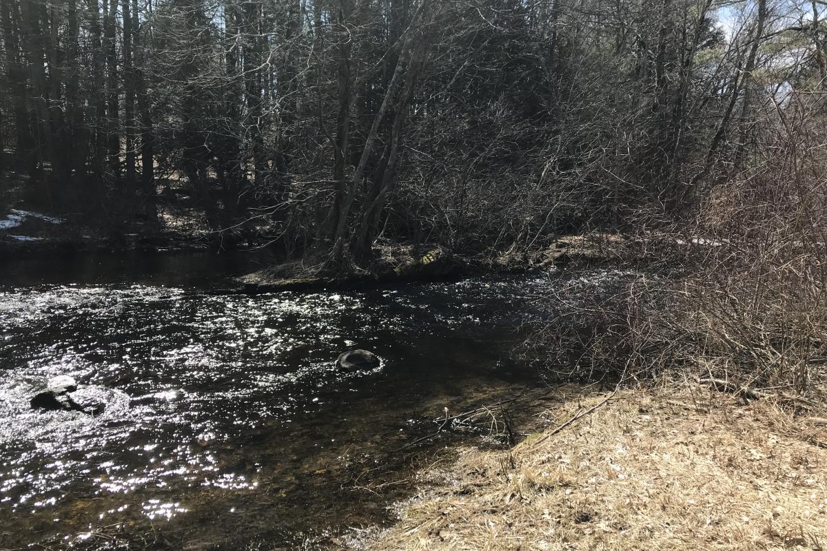 Assabet River at the Yellick Conservation Area.