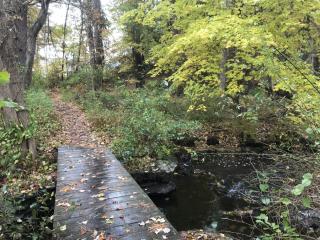 Birdsong Trail